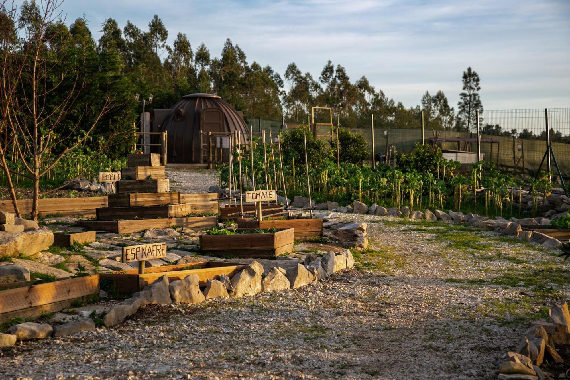 Bed and Breakfast Casas Da Gralha Turquel Экстерьер фото